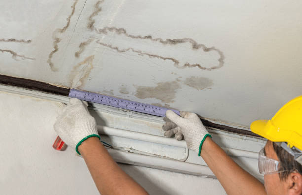 Reliable Water Damage contractor in Sandy Hook, CT by Water Damage Irwin